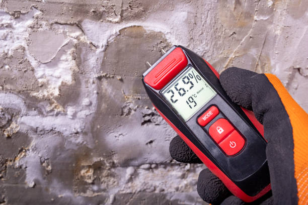 Best Home Mold Removal  in Smithsburg, MD
